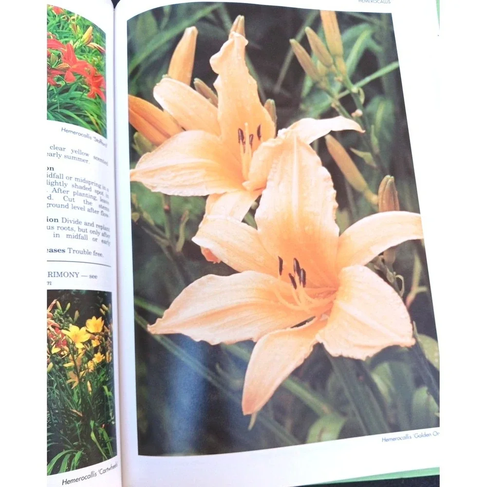 A–Z of Perennials – Reader's Digest Successful Gardening Series 1990, Hardcover‎